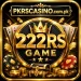 222RS Game Logo