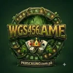 WGS456 Game Logo